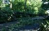 Brace Road storm damage 6-24-15.jpg
